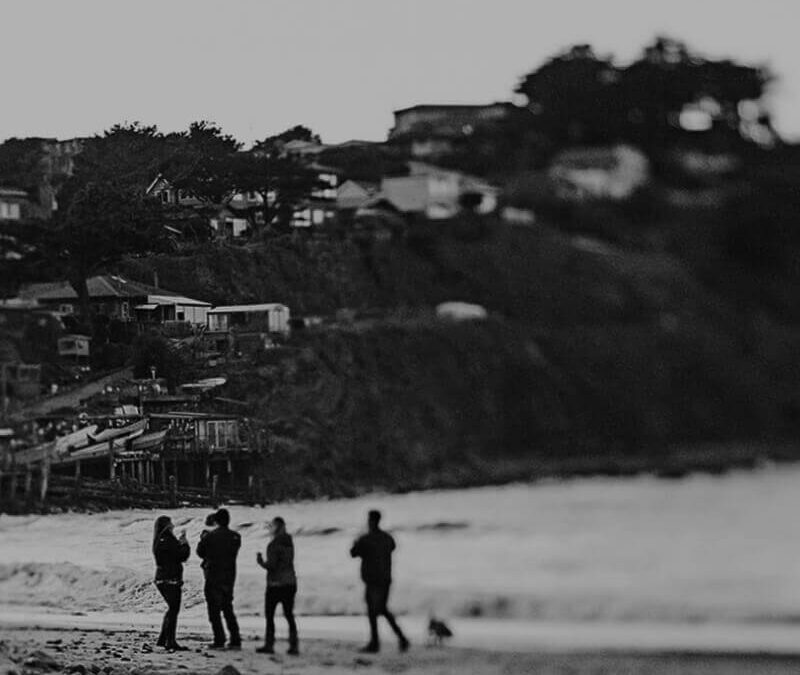 Water Quality Network Conference 2025